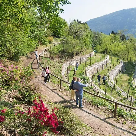 Al Motto * Cambiasca