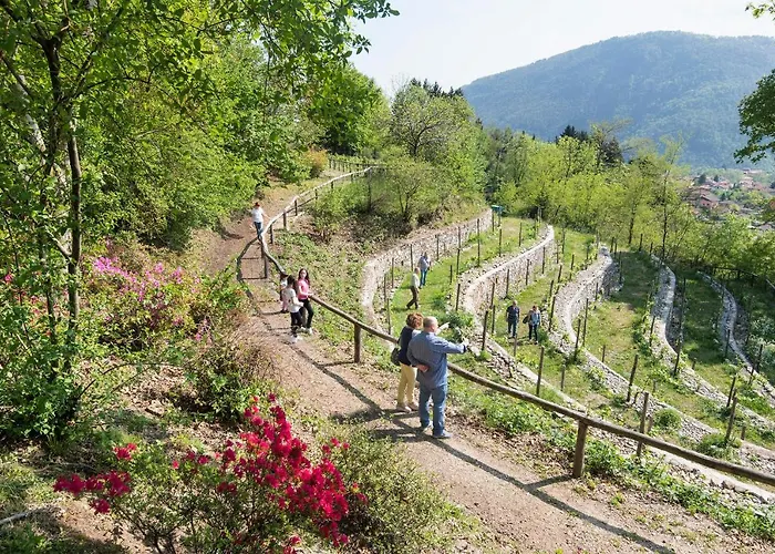 Al Motto * Cambiasca